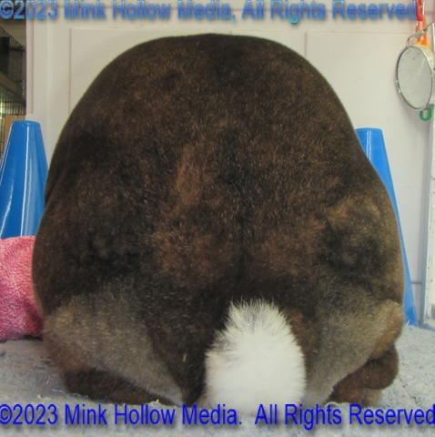 winny-2023-05-07-14-36-10_wm.jpg
