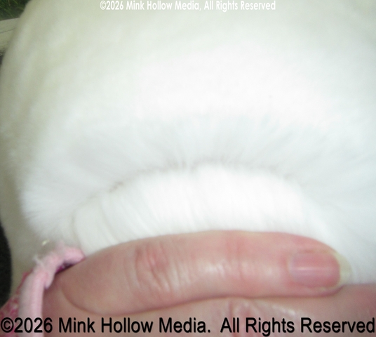 heaven-2025-06-02-18-46_088_wm.jpg