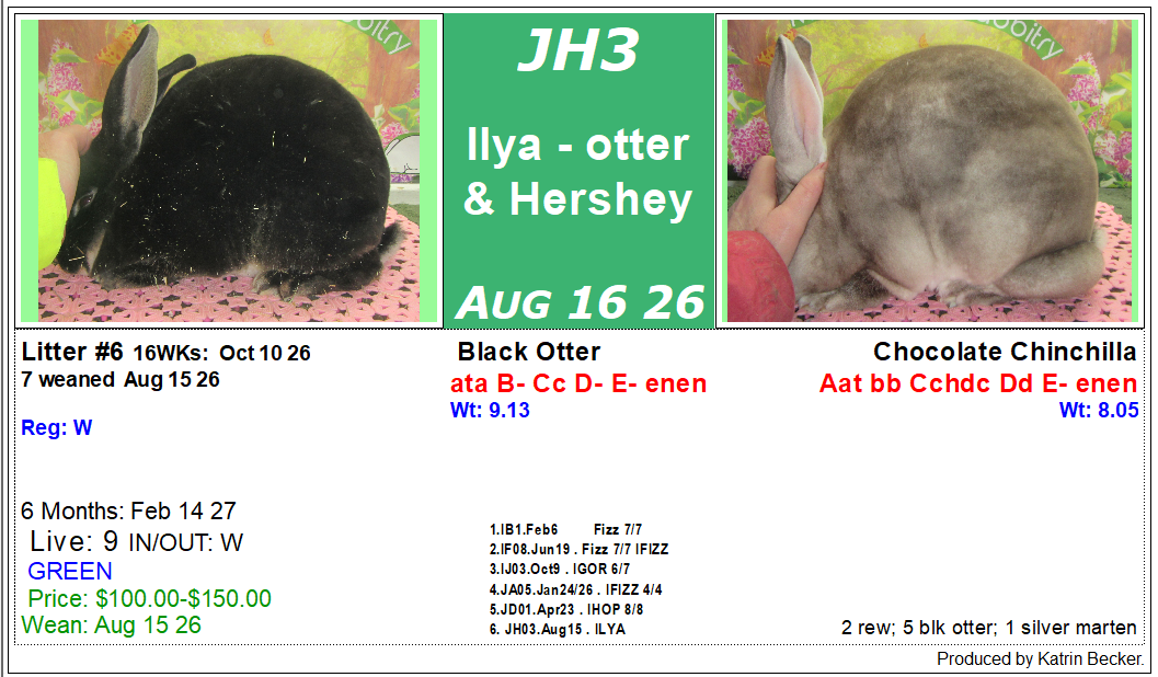 litter-jh3.png