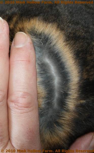 grant-2010-12-12_13-12-212010-12-12_13-12-213.jpg grant-2010-12-12_13-12-212010-12-12_13-12-213.jpg