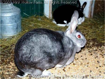 louise-04-02-01.jpg louise-04-02-01.jpg