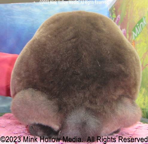 rowlf-2023-11-05-19-41-20_wm.jpg rowlf-2023-11-05-19-41-20_wm.jpg