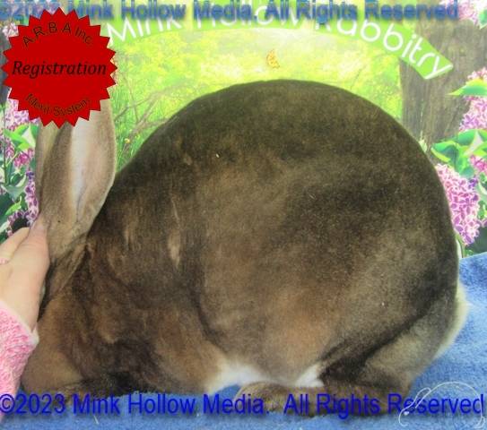 0-main.jpg 0-main.jpg