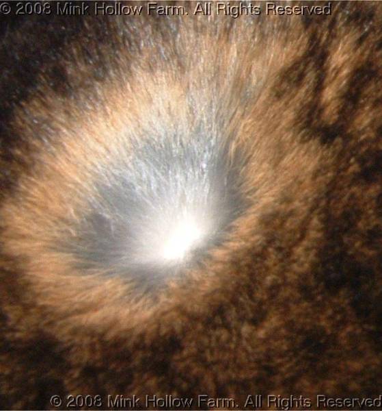 2008-07-04-036b.jpg 2008-07-04-036b.jpg