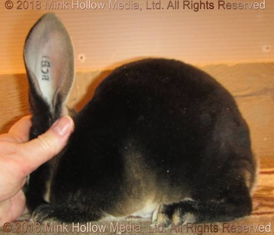 0-main.jpg 0-main.jpg