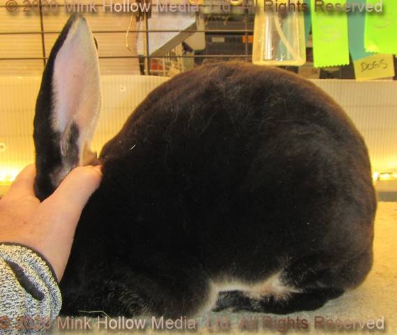 0-main.jpg 0-main.jpg