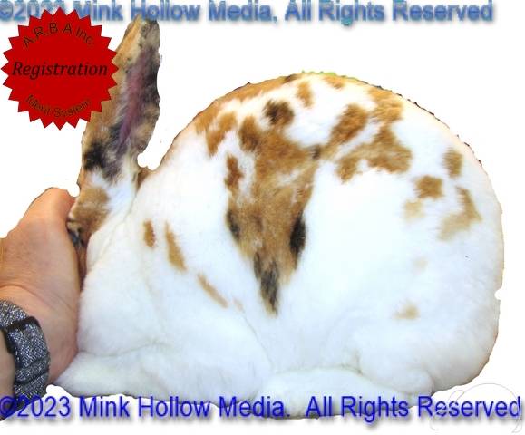 0-main.jpg 0-main.jpg