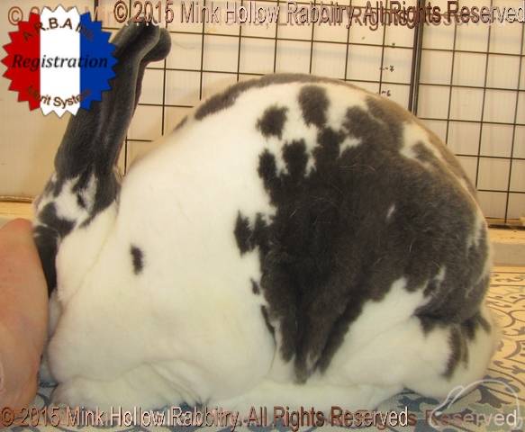 0-main.jpg 0-main.jpg