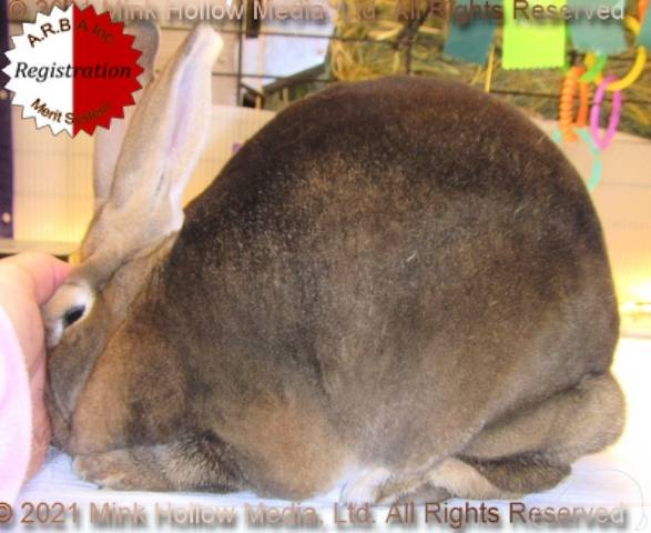 0-main.jpg 0-main.jpg