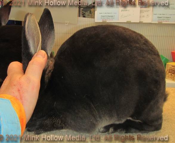 0-main.jpg 0-main.jpg