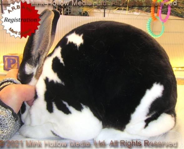 0-main.jpg 0-main.jpg