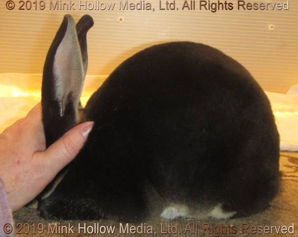 0-main.jpg 0-main.jpg