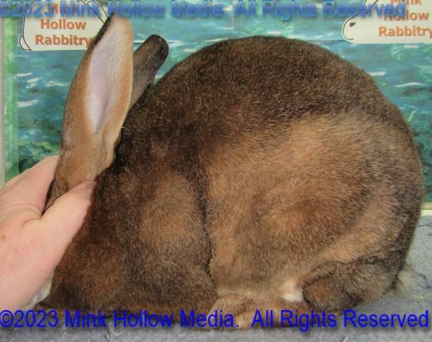 0-main.jpg 0-main.jpg