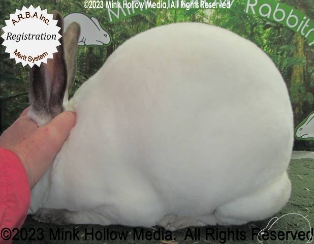 0-main.jpg 0-main.jpg