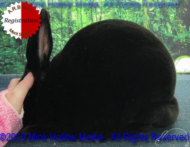 0-main.jpg 0-main.jpg