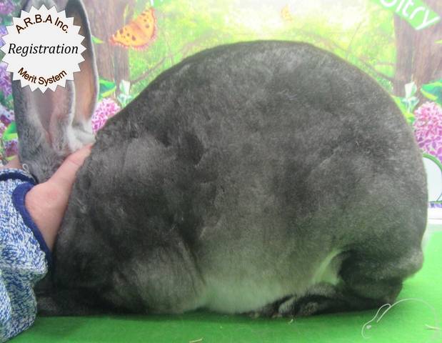 0-main.jpg 0-main.jpg