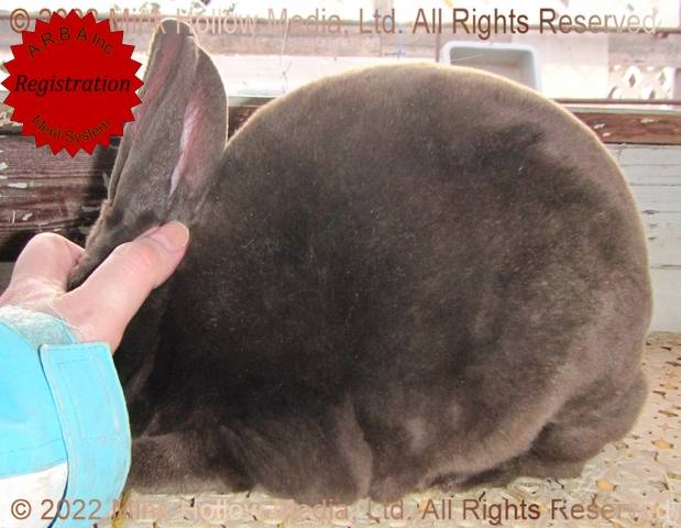 0-main.jpg 0-main.jpg