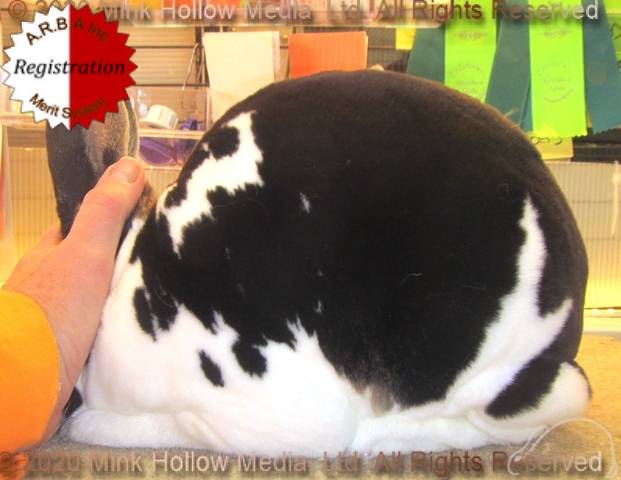 0-main.jpg 0-main.jpg