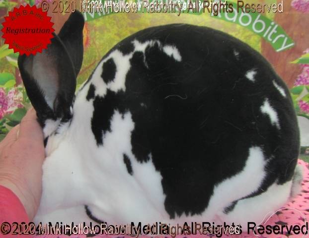 0-main.jpg 0-main.jpg