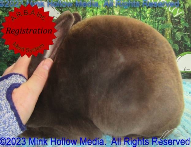 0-main.jpg 0-main.jpg