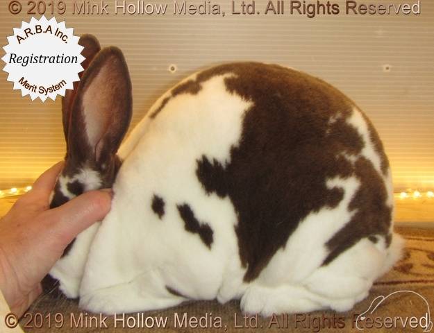 0-main.jpg 0-main.jpg