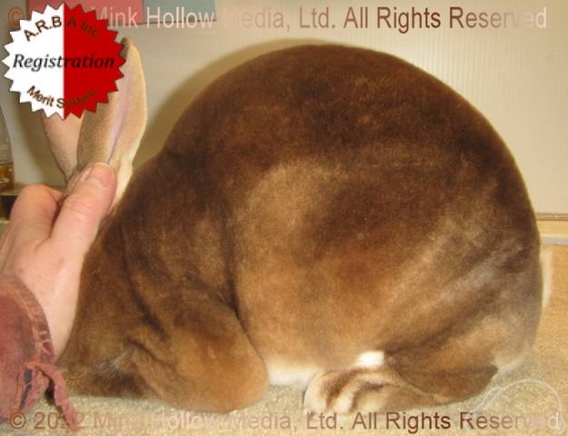 0-main.jpg 0-main.jpg