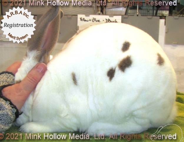 0-main.jpg 0-main.jpg