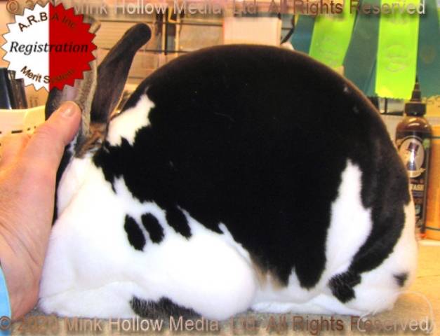 0-main.jpg 0-main.jpg