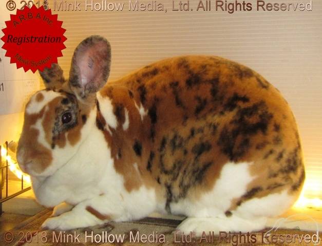 0-main.jpg 0-main.jpg