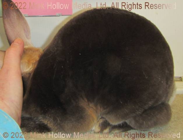 0-main.jpg 0-main.jpg