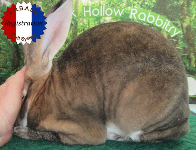 0-main.jpg 0-main.jpg