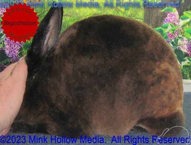 0-main.jpg 0-main.jpg