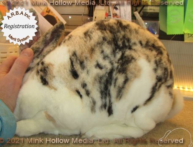 0-main.jpg 0-main.jpg