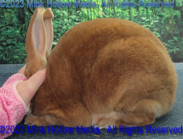 0-main.jpg 0-main.jpg