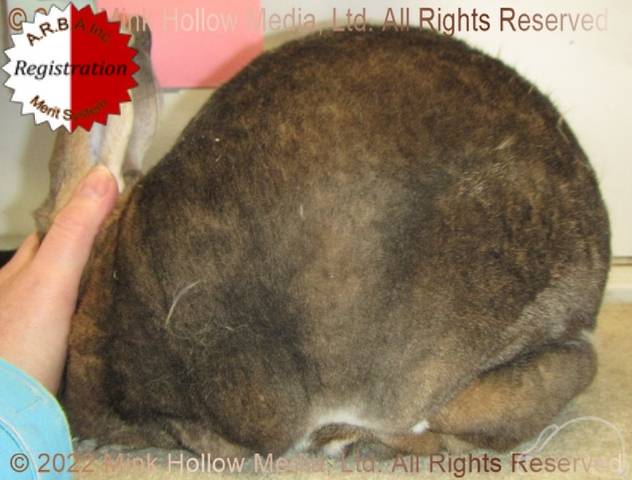 0-main.jpg 0-main.jpg