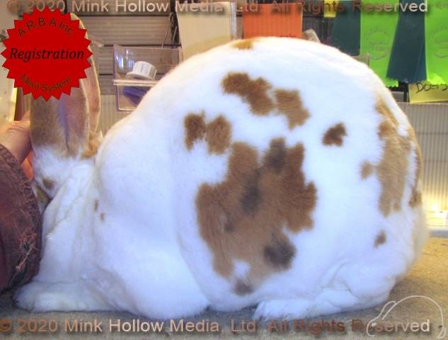 0-main.jpg 0-main.jpg