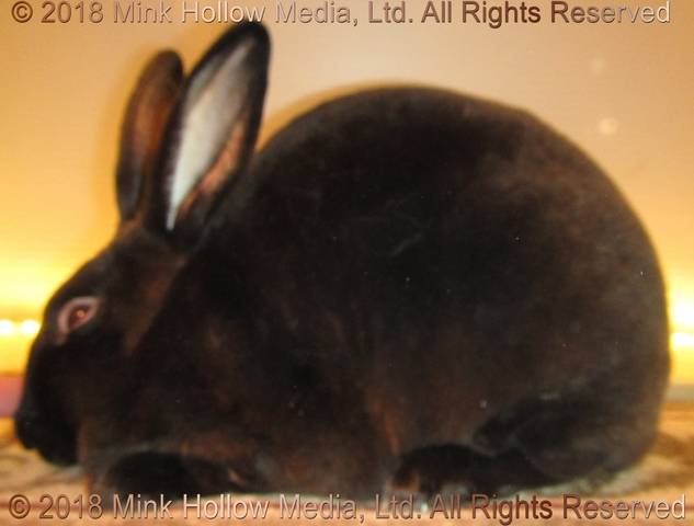 0-main.jpg 0-main.jpg