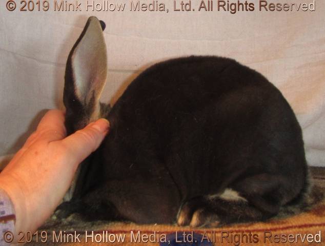 0-main.jpg 0-main.jpg