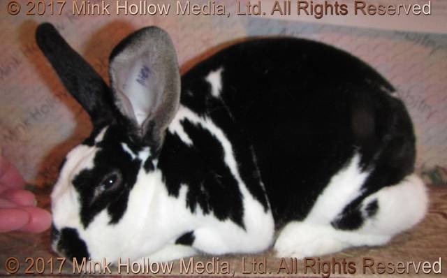 0-main.jpg 0-main.jpg