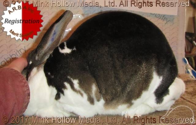 0-main.jpg 0-main.jpg