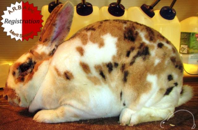 0-main.jpg 0-main.jpg