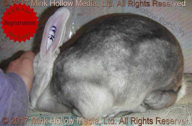 0-main.jpg 0-main.jpg