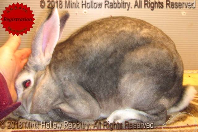 0-main.jpg 0-main.jpg