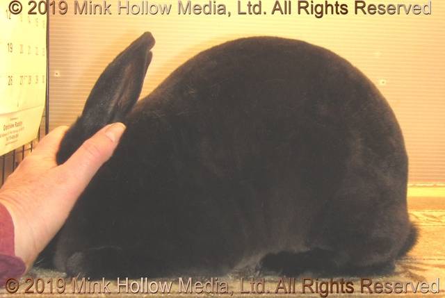 0-main.jpg 0-main.jpg