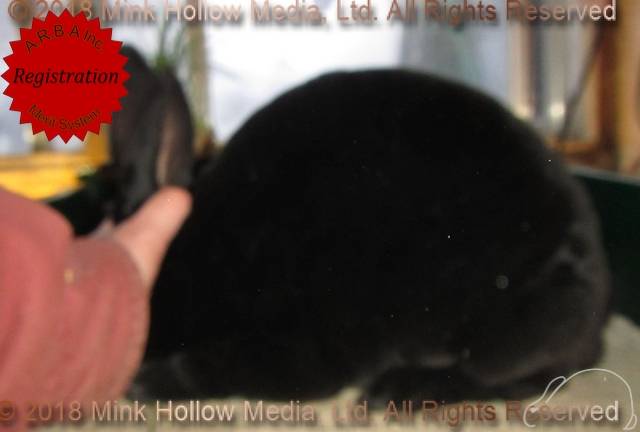 0-main.jpg 0-main.jpg