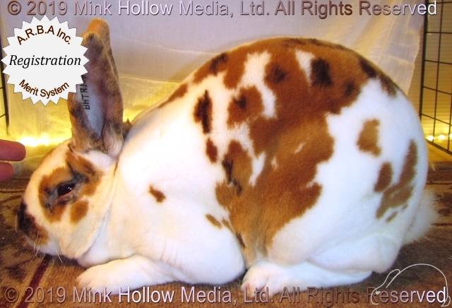 0-main.jpg 0-main.jpg