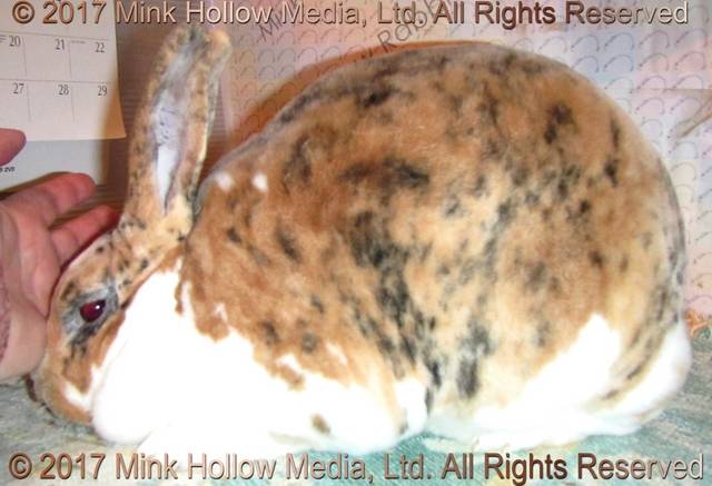 0-main.jpg 0-main.jpg