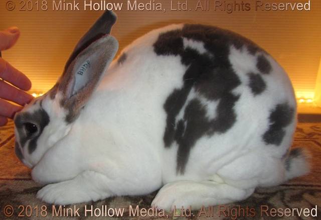 0-main.jpg 0-main.jpg