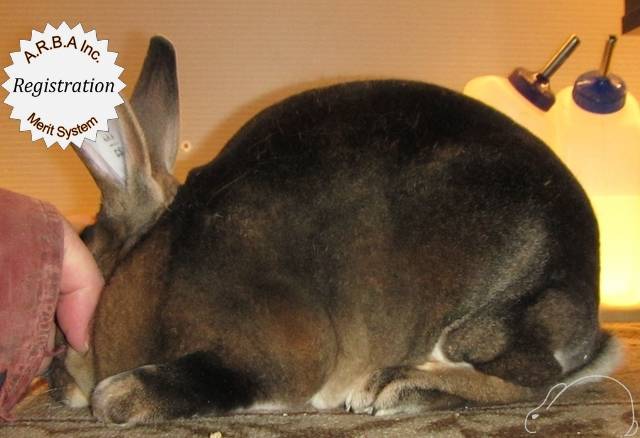 0-main.jpg 0-main.jpg