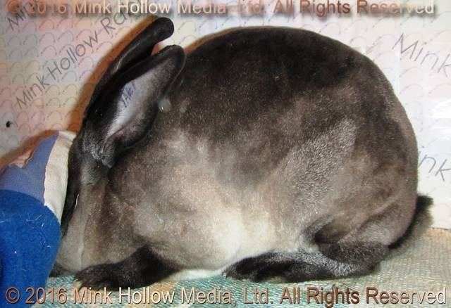 0-main.jpg 0-main.jpg